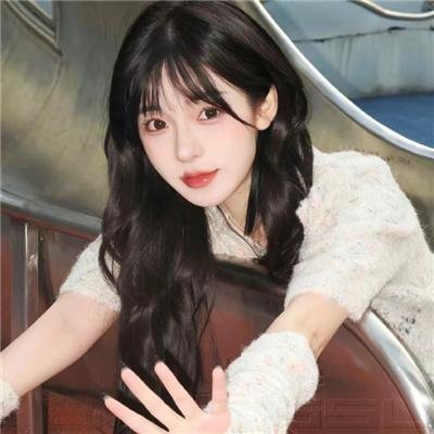 敌对同谋